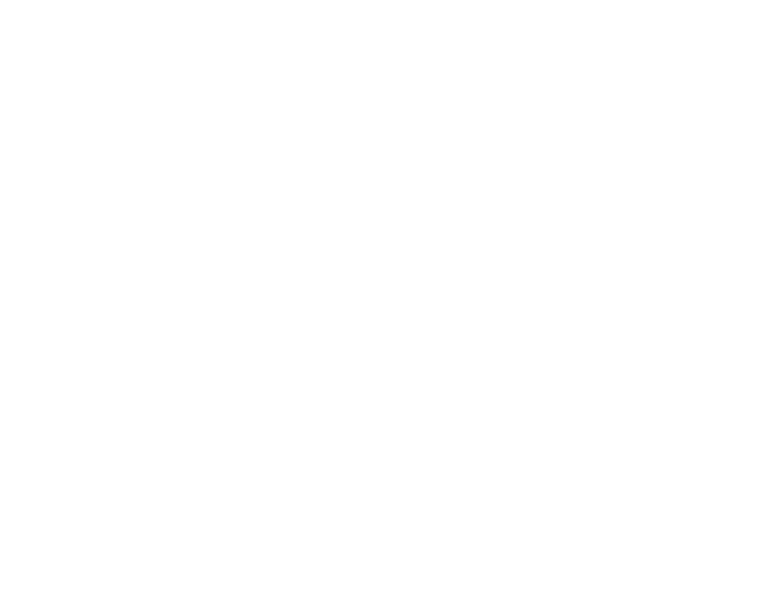 The Mayer Studio